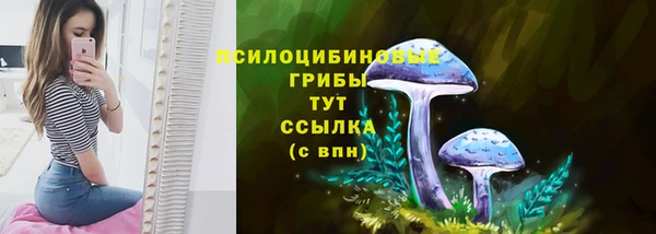 крисы Богородск