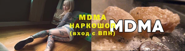 стафф Богданович