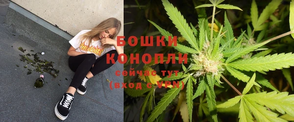 стафф Богданович