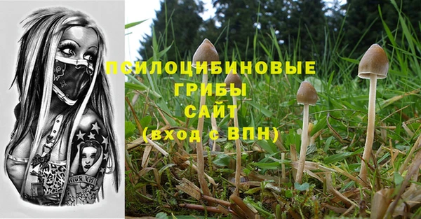 кокаин колумбия Богородицк